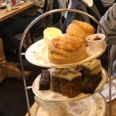 (주)동남아스콘 | 11월이왜이리빨지나가