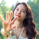 노렌스시 이미지