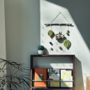 고유의뜰 이미지