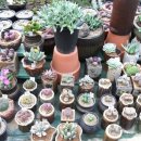 오현농장 이미지