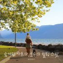 이탈리아 가르다호수 숨은 명소 토스콜라노 마데르노 여행 정보