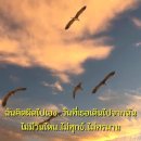 หากฉันรู้ / Hahk Chun Roo (If I Knew) 이미지