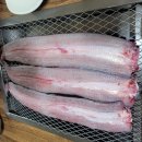 (주)춘천장어마을삼천동 이미지