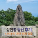 울릉도 성인봉 나리분지 코스 후기｜사진보다 훨씬 힘든 계단 난이도 실화