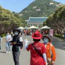 남대문관광안내소 이미지