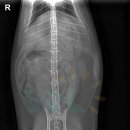 산본동물병원 이미지