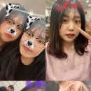 행복지대 이미지