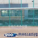 불로초등학교 티스토리