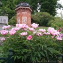 등촌초등학교 이미지