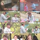 백년손님 이미지