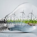 좋은효소서면본부