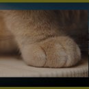 금강호 관광지 이미지