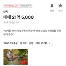 내촌 마을회관 | [서울 단독다가구상가] 강동구 서원,선사마을 임장후기