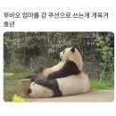 유버스티비 | 7월의 일상