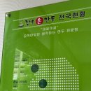 장수손만두 이미지