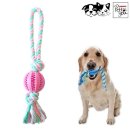 덴탈투유 이미지