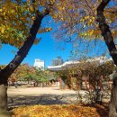 대청사슴 | 서울여행 초등아이와 덕수궁 궁궐 탐험