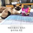 반려묘를 행복하게 할 최고의 습식형 주식 &#34;비타크래프트 델리스 고양이 습식사료 치킨&#34;