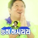 더누보 이미지