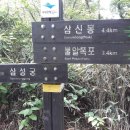 신봉삼거리 Daum카페