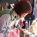 마망 엘리펀트 이미지