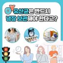 유산균은 반드시 냉장 보관해야 한다고? 이미지