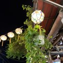 (주)지이투어 이미지