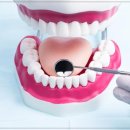 가정백세플란트치과의원 이미지