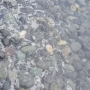 파레스펜션 이미지