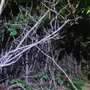 바람소리새소리 이미지