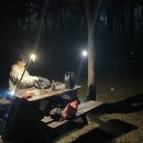 동해시-33 이미지