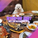 구이구이쪽갈비 수지동천점 | [용인 애견동반 식당_밥엔청국장] 한식파 견주께 1순위 메뉴정해드림.