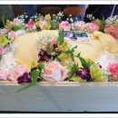 복실이 PC 이미지