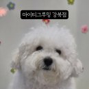 마이티 그루밍 이미지