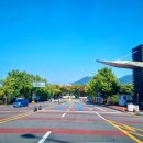 한강시민공원(화훼단지) 이미지