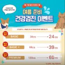 네오펫 | 양치 안 하는 고양이 스케일링 비용과 치료 후기 (구리 동물병원 네오펫 동물메디컬센터)