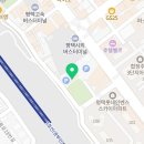 폰슐랭라이언인형 네이버블로그