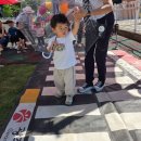 ＜안전교육＞교통.소방안전🧯 이미지