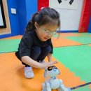 경희동화나라유치원 이미지