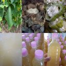 엄마손한우 이미지