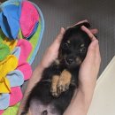 탄현동물병원 이미지