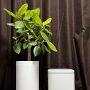 이마트 페달로 옆 이미지