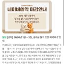 장재영외과동물병원 이미지