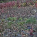 하늘농원 이미지