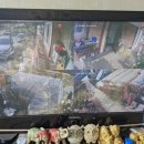 잔상과서림 | 충북 충주음성 전원주택 CCTV 4대 수리 + KT 포트포워딩 + TV 연동 완료 후기