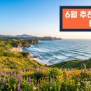 용수골목장 | 6월 국내 여행지 추천 2026 축제 일정 포함 BEST 6