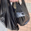 부자순대국 이미지