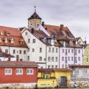 두류공원로 이미지