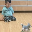 이이안