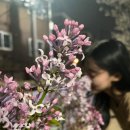 포커슨 이미지